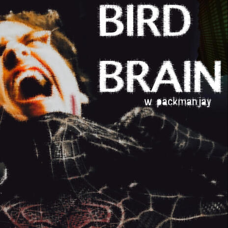 BIRD BRAIN ft. packmanjay | Boomplay Music