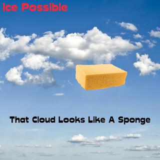 That Cloud Looks Like A Sponge