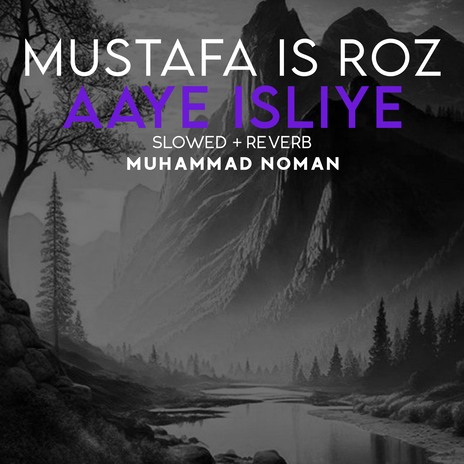 Mustafa Is Roz Aaye Isliye Lofi | Boomplay Music