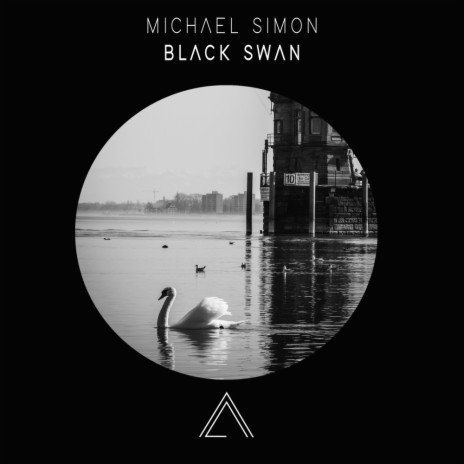 Black Swan (Original Mix) | Boomplay Music