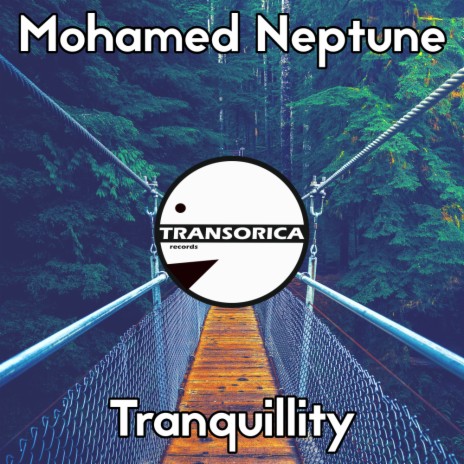 Tranquillity | Boomplay Music