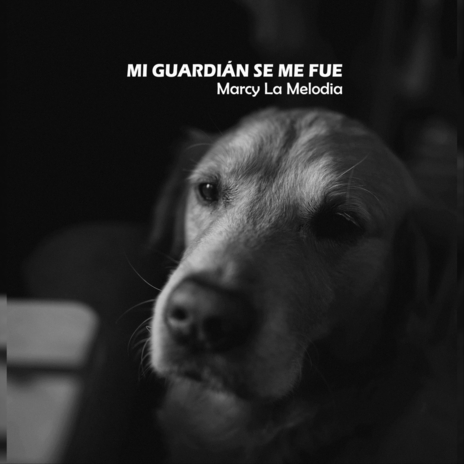 Mi Guardián Se Me Fue | Boomplay Music