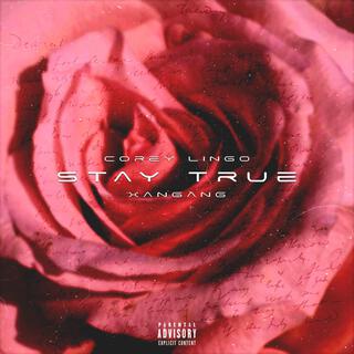 Stay True lyrics | Boomplay Music