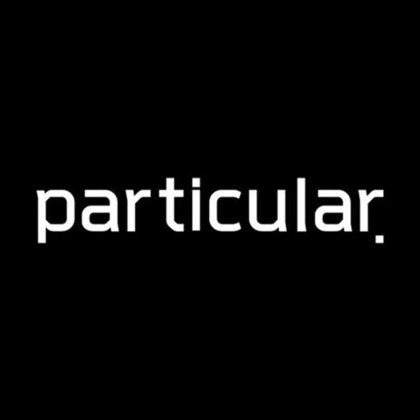 PARTICULAR | Boomplay Music