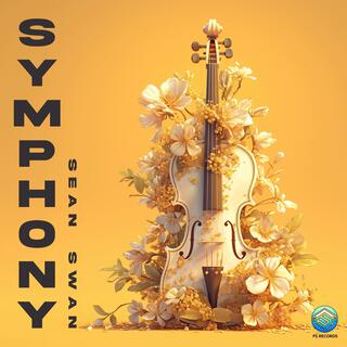 Symphony (Radio Edit)