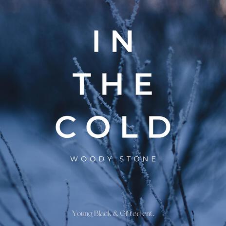 In the Cold | Boomplay Music
