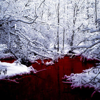 BLOOD ON THE SNOW