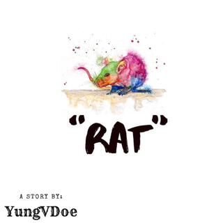 RAT