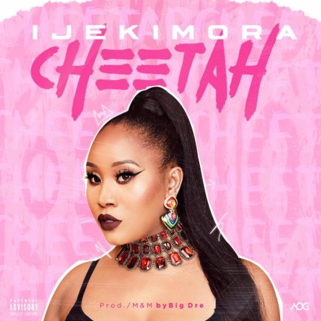 Cheetah | Boomplay Music