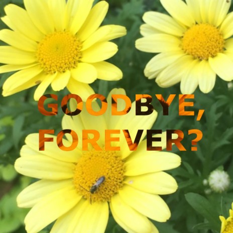 Goodbye, Forever?