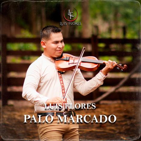 Palo Marcado | Boomplay Music