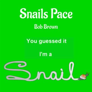 Snails Pace lyrics | Boomplay Music