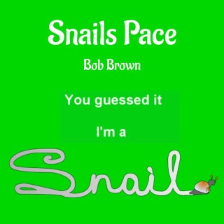 Snails Pace