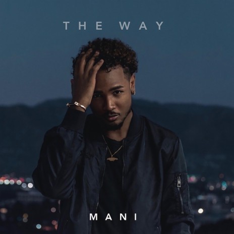 The Way | Boomplay Music