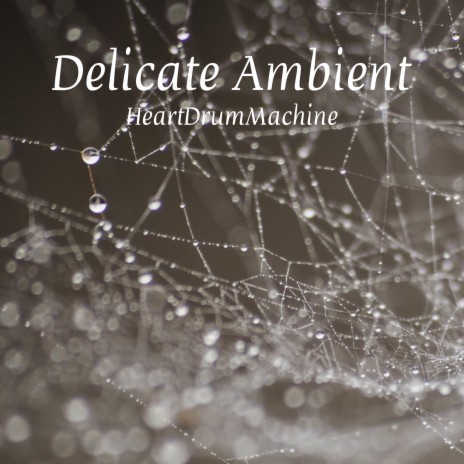 Delicate Ambient | Boomplay Music