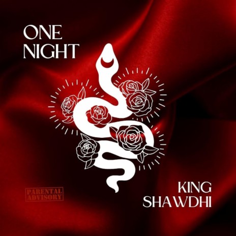 One night | Boomplay Music