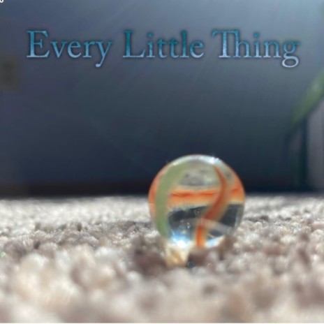 Every Little Thing