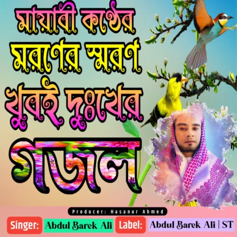 Manush Koi Jaye Re Duniya Chariya Masjidero Palki Aina | Boomplay Music