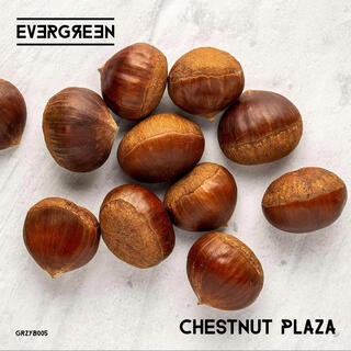 Chestnut plaza