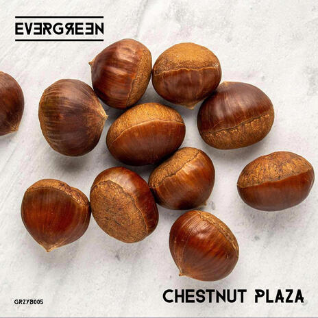 Chestnut plaza | Boomplay Music