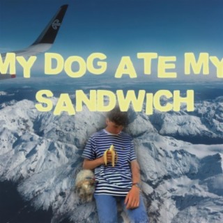 my dog ate my sandwich