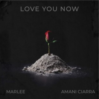 Love You Now (feat. Amani Ciarra)