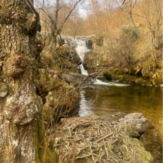 The 'Hidden Falls' Retreat