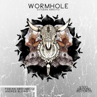 WormHole / Rounds