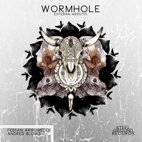 WormHole (Fabian Argomedo Remix) ft. Fabian Argomedo