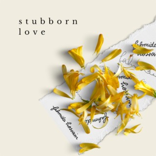 Stubborn Love