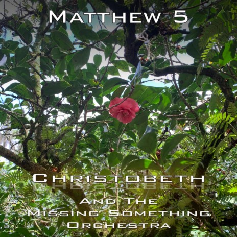 Matthew 5 | Boomplay Music