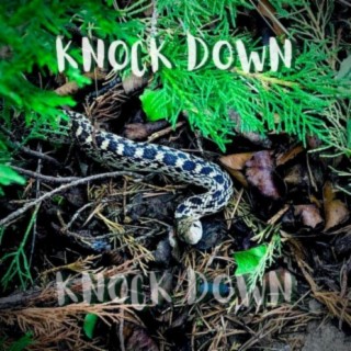 Knock Down