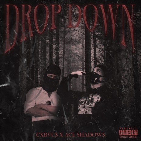 DROP DOWN ft. Ace Shadows | Boomplay Music