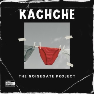 The NoiseGate Project