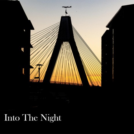 Into The Night | Boomplay Music