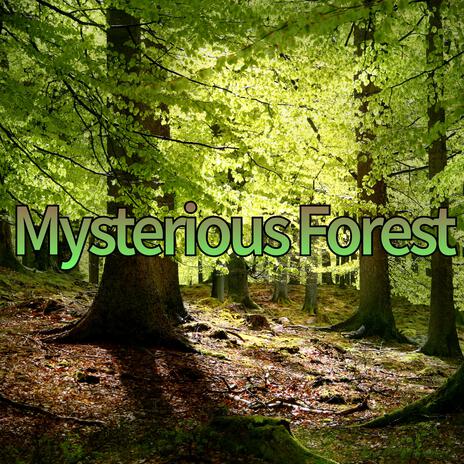 Mysterious Forest