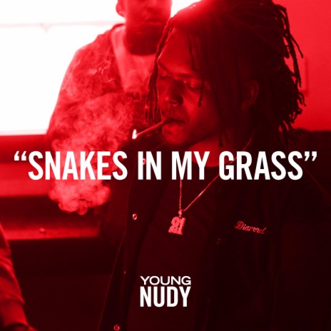 Snakes In My Grass | Boomplay Music