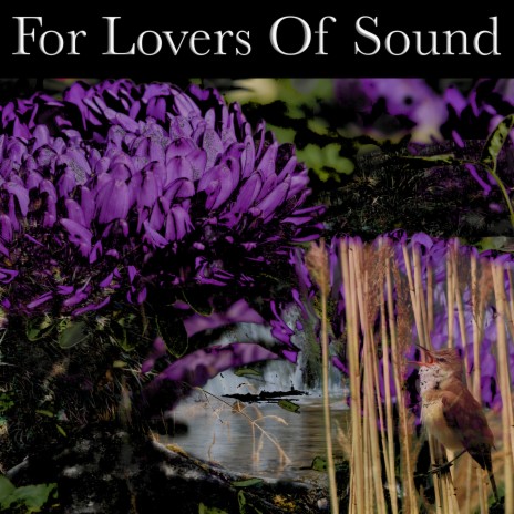 For Lovers Of Sound | Boomplay Music