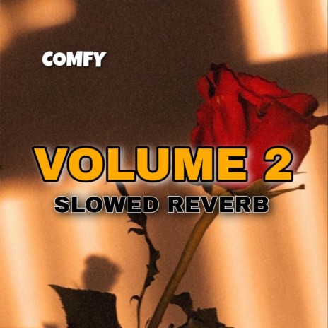 Roi Na Jo Yaad meri Ayi (Slowed + Reverb) | Boomplay Music
