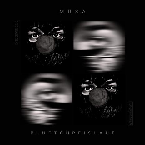 Bluetchreislauf | Boomplay Music