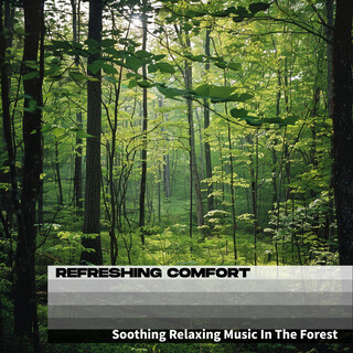 Soothing Relaxing Music In The Forest