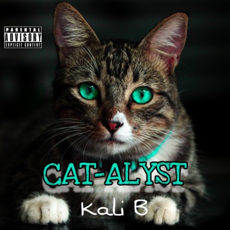 CAT-ALYST | Boomplay Music