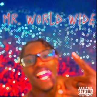 Mr.World Wide