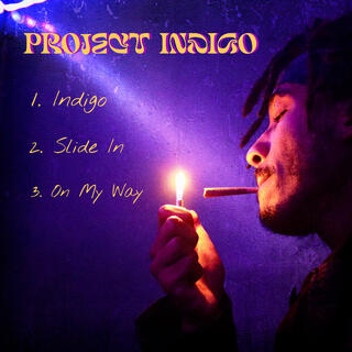 Project Indigo