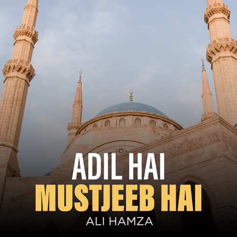 Adil Hai Mustjeeb Hai | Boomplay Music