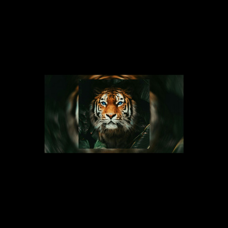 Tiger | Boomplay Music