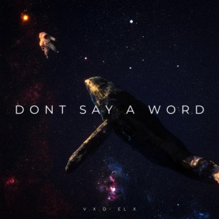 Dont Say A Word