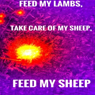 Feed my Sheep