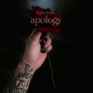 Apology ft. Pardees Ali Fayed lyrics | Boomplay Music