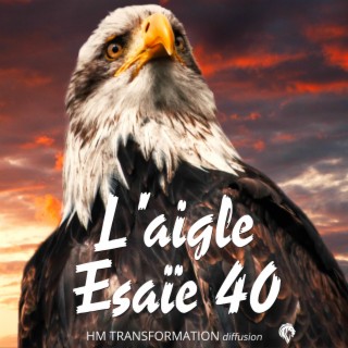 L'aigle d'Esaïe 40